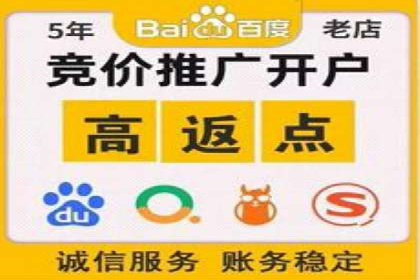 百度SEM代运营案例解析：精准锁定目标客户